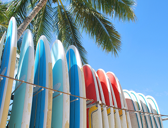 Rental surfboards available Action Sport Rental at the Bahia Resort Hotel