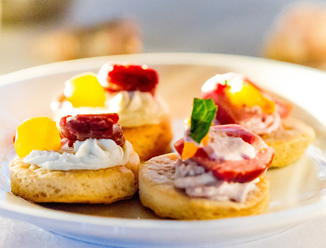 Close up of appetizers