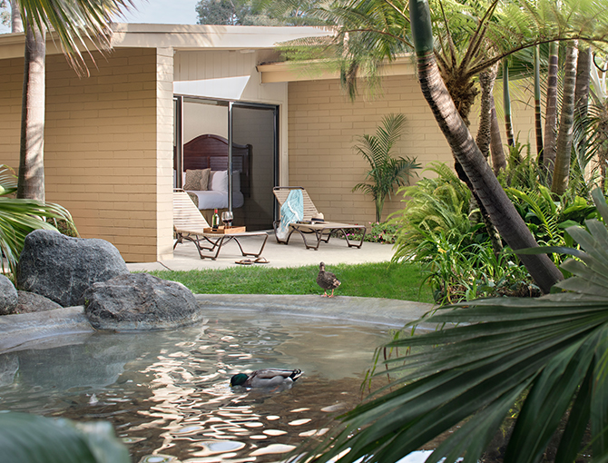 Duck swimming in pond with room in background