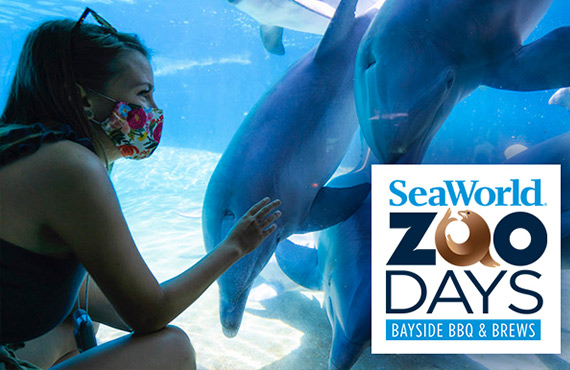 SeaWorld's Zoo Days Bayside BBQ & Brews