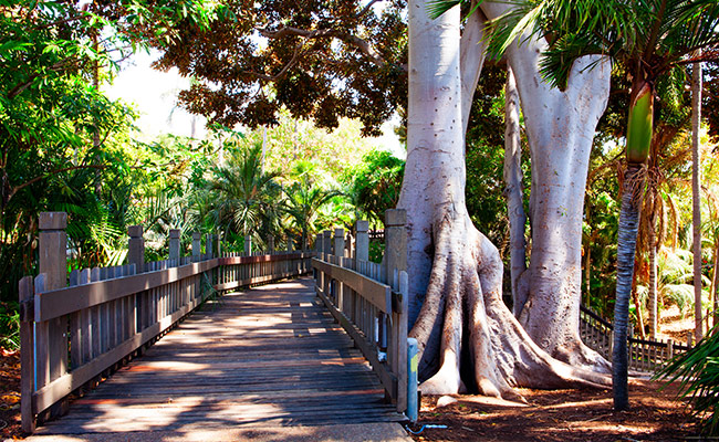 Best Running Trails in San Diego - Balboa Park