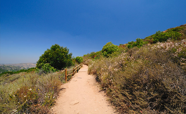 Best Running Trails in San Diego - Cowles Mountain