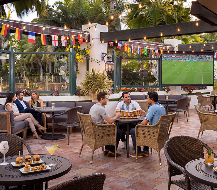 FIFA World Cup Viewing